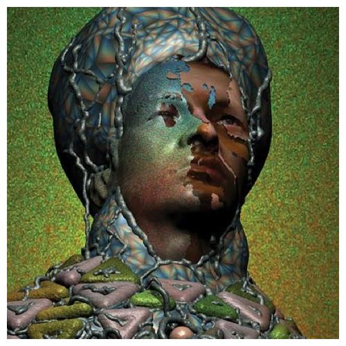 Yeasayer Odd Blood (LP) 